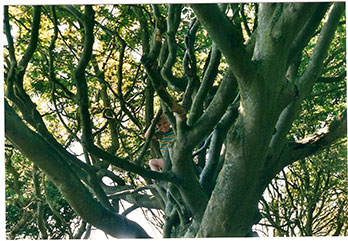 Asnæslejrens klatretræ